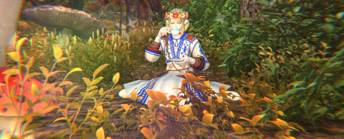 Third image