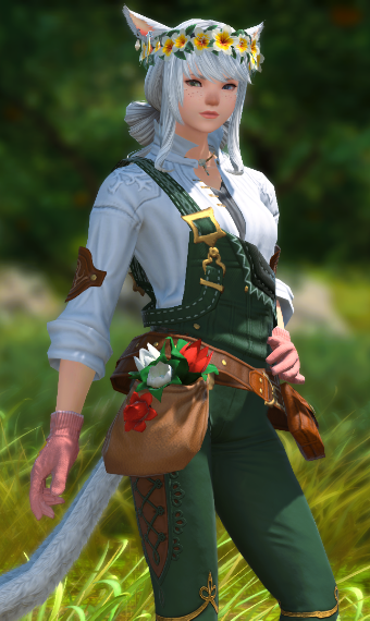 Gatherer Outfits