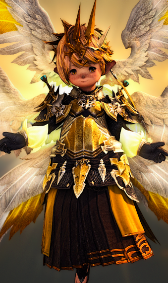 the Valkyries