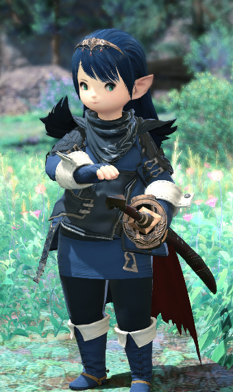Fire Emblem Awakening
