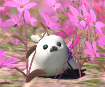 First image