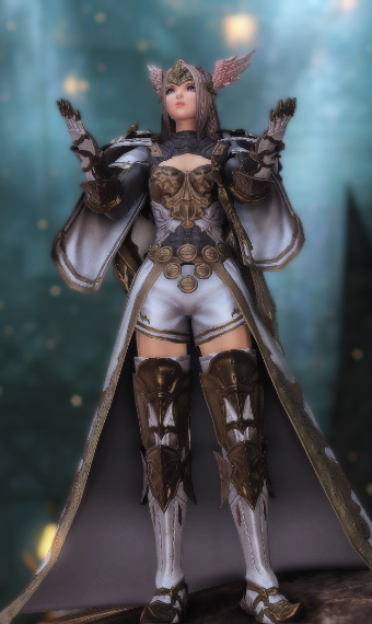 holy knight valkyrie