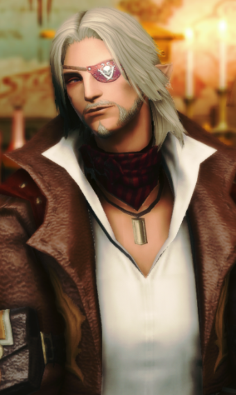 Clandestine Airship Captain | Eorzea Collection