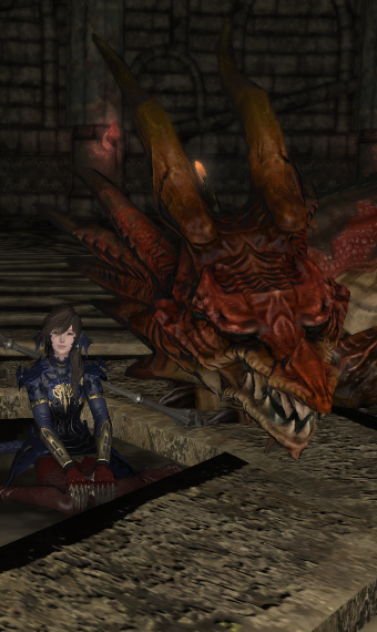 Sleeping Dragon | Eorzea Collection