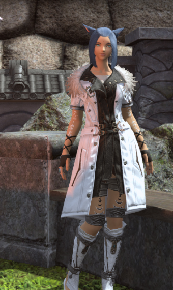 Winter Healer | Eorzea Collection