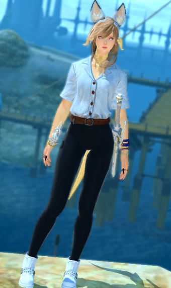 Casual Cat | Eorzea Collection