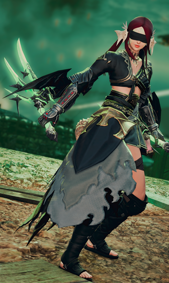 Demon Hunter  Eorzea Collection