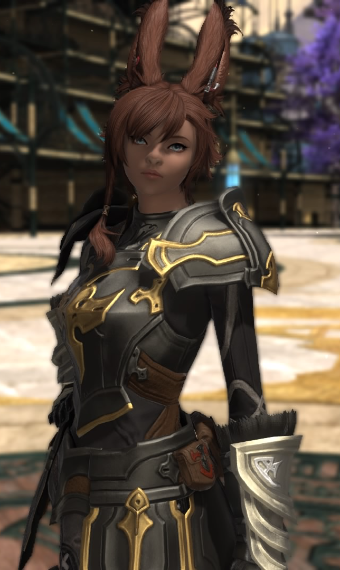 Knight Of Ebony  Eorzea Collection